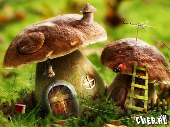 CWER.RU