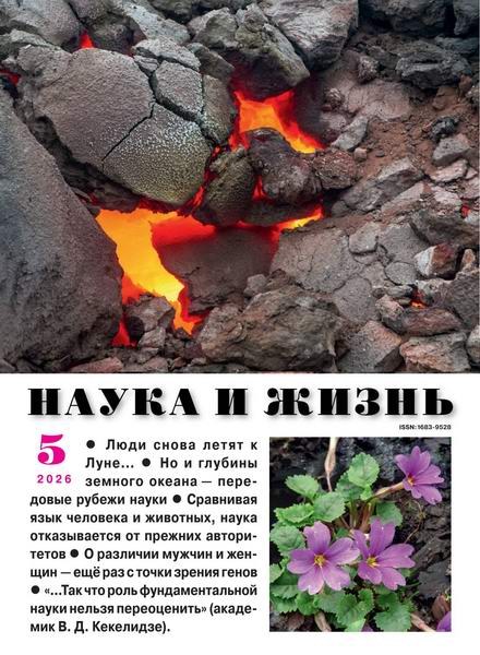 Наука и жизнь №5 май 2026