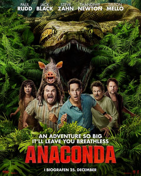 Anaconda