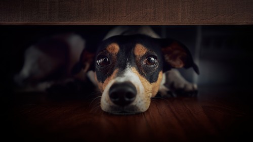 Computer Desktop Wallpapers Collection. www.cwer.ru