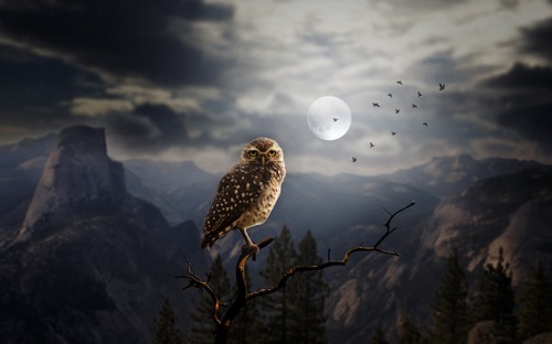 Computer Desktop Wallpapers Collection. www.cwer.ru