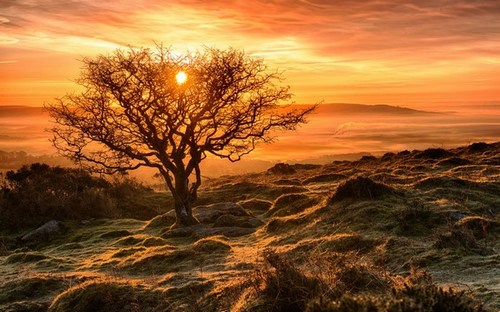 Computer Desktop Wallpapers Collection. www.cwer.ru