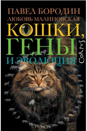 Кошки, гены и эволюция