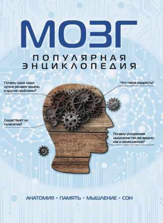 Андрей Дианов. Мозг: популярная энциклопедия