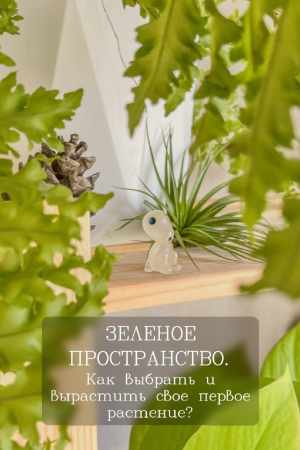 Зеленое пространство