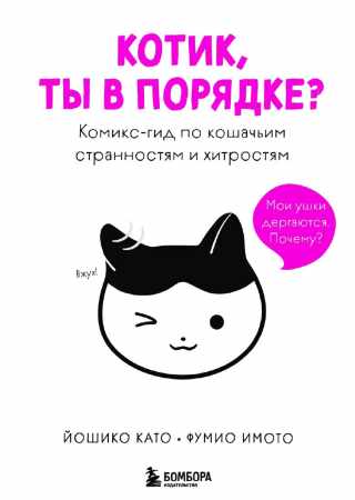 Котик, ты в порядке?