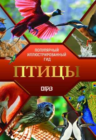 Птицы. Иллюстрированный гид