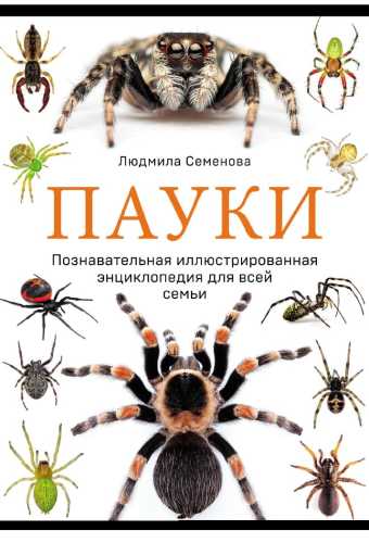 Пауки