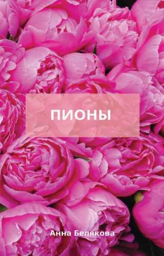 Пионы
