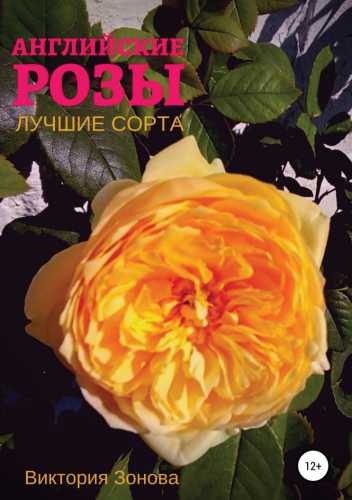 Английские розы. Лучшие сорта