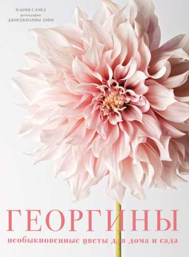 Георгины