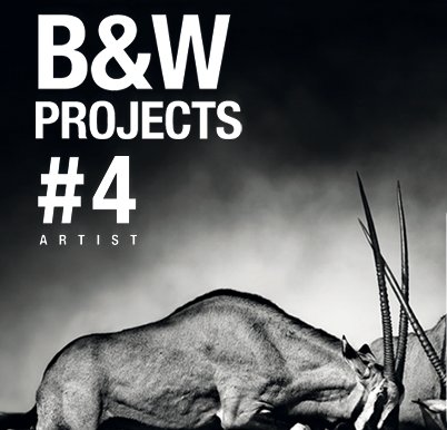 Franzis BLACK & WHITE projects 4.41.02511 + Rus