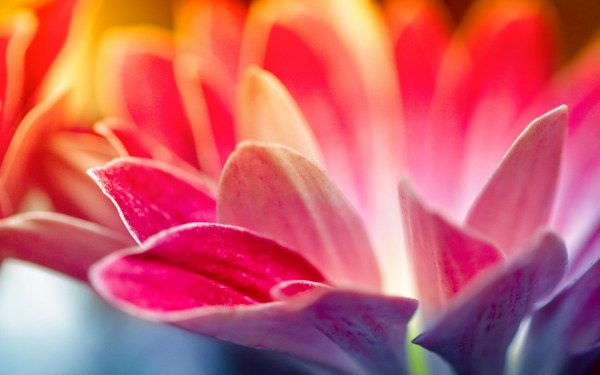 New Mixed HD Wallpapers Pack 393