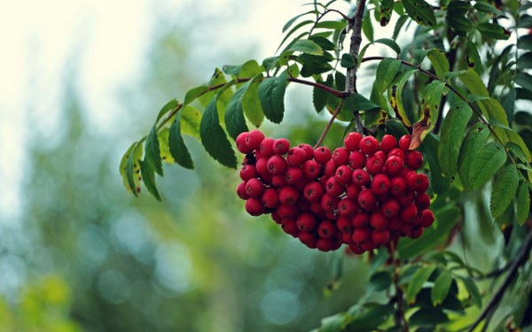 New Mixed HD Wallpapers Pack 337