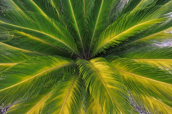 Best Mixed Wallpapers Pack #391-392