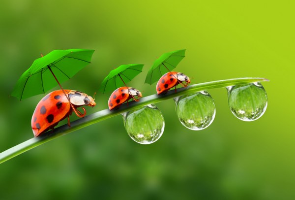 New Mixed HD Wallpapers Pack 247