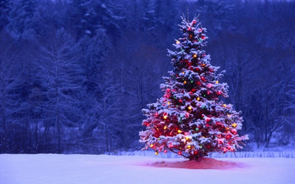 New Mixed HD Wallpapers Pack 143