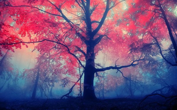 New Mixed HD Wallpapers Pack 166