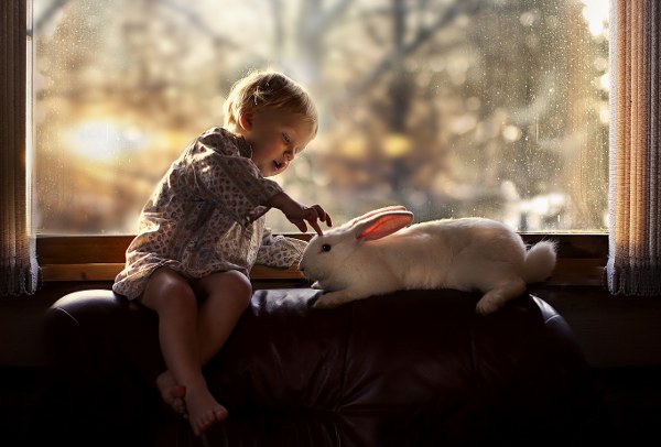 Best Mixed Wallpapers Pack #427-428