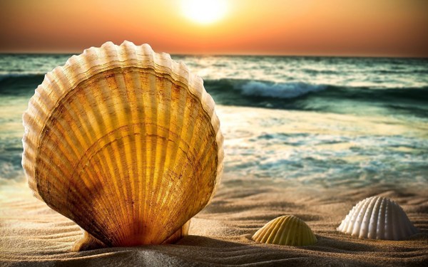Best Mixed Wallpapers Pack #361-362