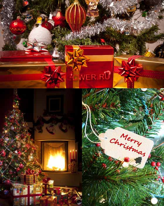 Stock Photo. Christmas Tree