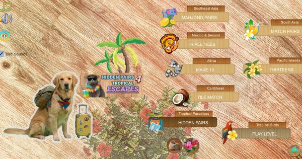 Hidden Pairs 4: Tropical Escapes