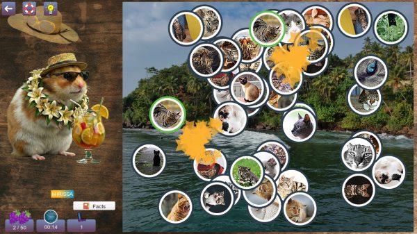 Hidden Pairs 4: Tropical Escapes